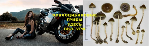 ALPHA PVP Богородицк
