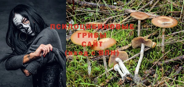 ALPHA PVP Богородицк