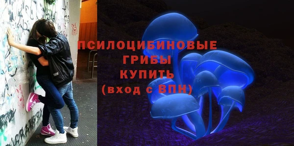 ALPHA PVP Богородск
