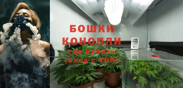 амф Богданович