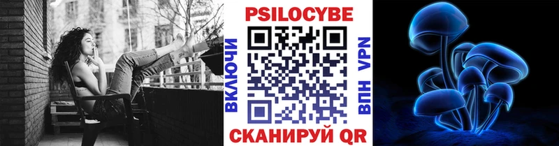 Псилоцибиновые грибы MAGIC MUSHROOMS  ссылка на мегу ссылка  Ковров  где продают наркотики 